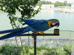 -水上乐园·欢乐世界