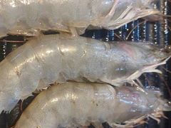 -俊熙家点餐式自助烤肉店(1227广场店)