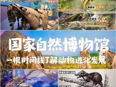 -国家自然博物馆
