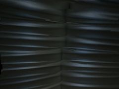 -新加坡丽思卡尔顿美年酒店