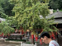 -台州府城(江南长城)