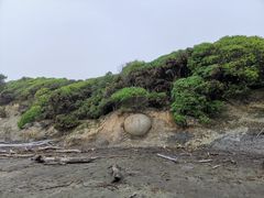 -摩拉基大圆石