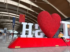 -上海浦东国际机场-T2航站楼
