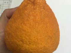 -潘大师炸鸡腿(莱蒙店)