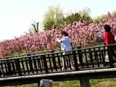 -羊亭河湿地公园