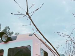 -小南山公园
