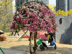 -陈家祠堂-游客中心