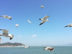 -长岛大黑山岛