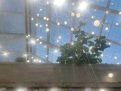 -大树餐厅(红旗街万达店)
