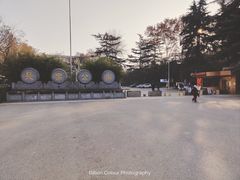 -西安市长乐公园