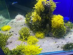 -蓬莱欧乐堡海洋极地世界