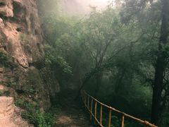 -北京上方山国家森林公园