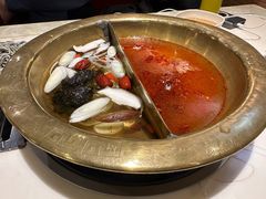 -和庆斋阳坊秘制羊蝎子火锅(云岗店)