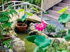 -伴山茶苑·围炉煮茶