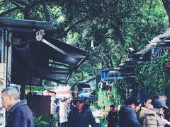 -桂林市花鸟市场