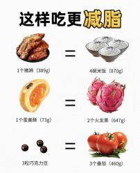 -Fundi张玉珊修身堂·indiba·BTL科技瘦身