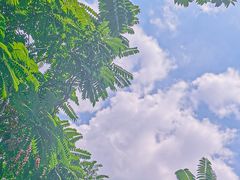 -成都市活水公园