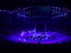 -珠海横琴长隆《卡卡虎奇遇记》