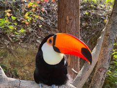 -泉州海丝野生动物世界