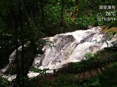 -莫里热带雨林景区