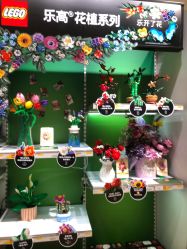 -乐高授权专卖店(岭南站NOVA店)