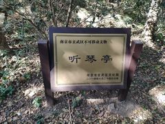 -紫金山山顶公园