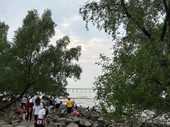 -宝安西湾红树林湿地公园