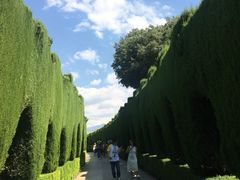 -阿尔罕布拉宫