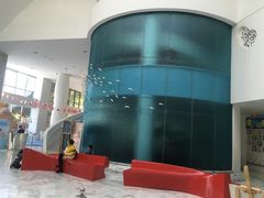 -深圳东部华侨城瀑布酒店