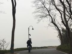 -东湖落雁景区