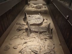 -北京大葆台遗址博物馆