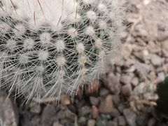 -南山植物园