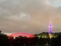 -金鸡山公园