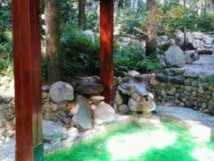 android_upload_pic-金方森林温泉