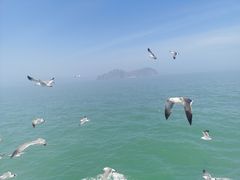 -海驴岛(荣成市)