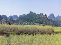 -万峰林风景区