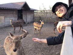 -安德鲁户外烧烤帐篷营地(马泉营店)