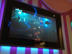 -米乐星世界KTV
