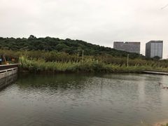 -深圳大学(丽湖校区)