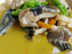黄焖鲟龙鱼-饭怕鱼(阳光100店)