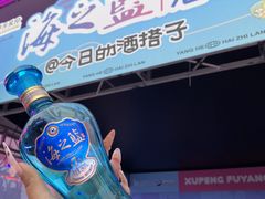 -龙湖南京江北天街