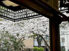 -玛格萝妮比萨屋(四平店)