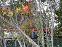 -南昌之星游乐场