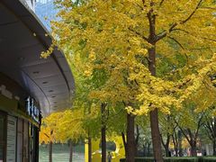 -The place那儿(新城国际店)