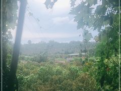 -侯臣咖啡文化村