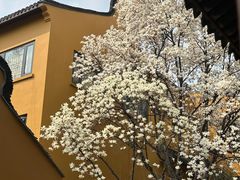 -龙华寺