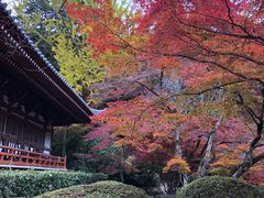 -醍醐寺