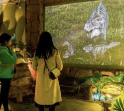 -恐龙探索乐园(磁器口店)