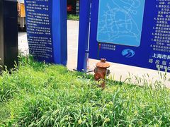 -合庆服务区-停车场