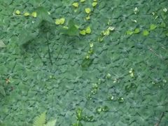 -华南国家植物园-售票处
